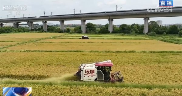 九鼎 良机良种良技绘就早稻好“丰”景 “新农人”正逐渐成为“兴农人”