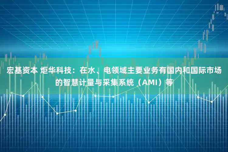 宏基资本 炬华科技：在水、电领域主要业务有国内和国际市场的智慧计量与采集系统（AMI）等